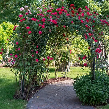 Klettgaublick Apartment